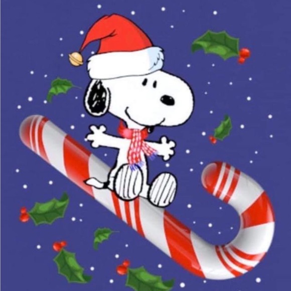 💃🏼💃🏼💃🏼💃🏼 - Picture 2 of 3